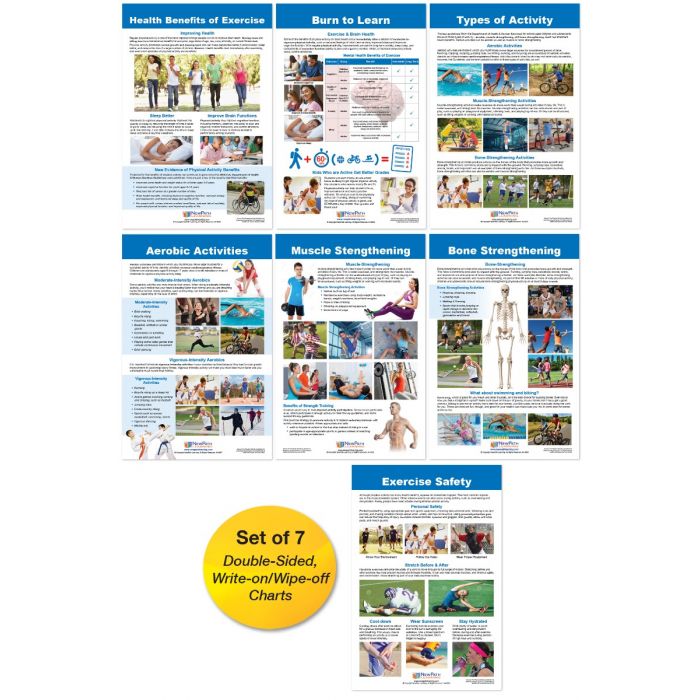 Exercise Facts Bulletin Board Chart Set - Set of 7