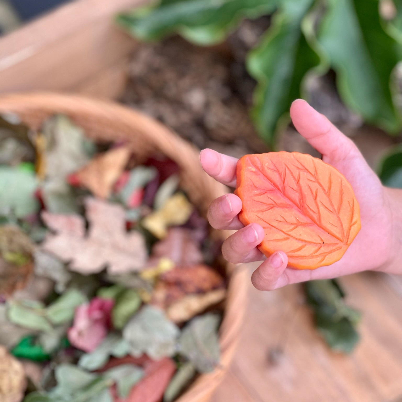 Sensory Play Stones - Leaves - Set of 12