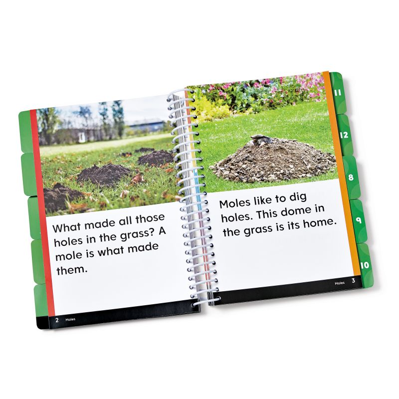 Guided Phonics + Beyond®, Unit 4 Decodable Books, Individual