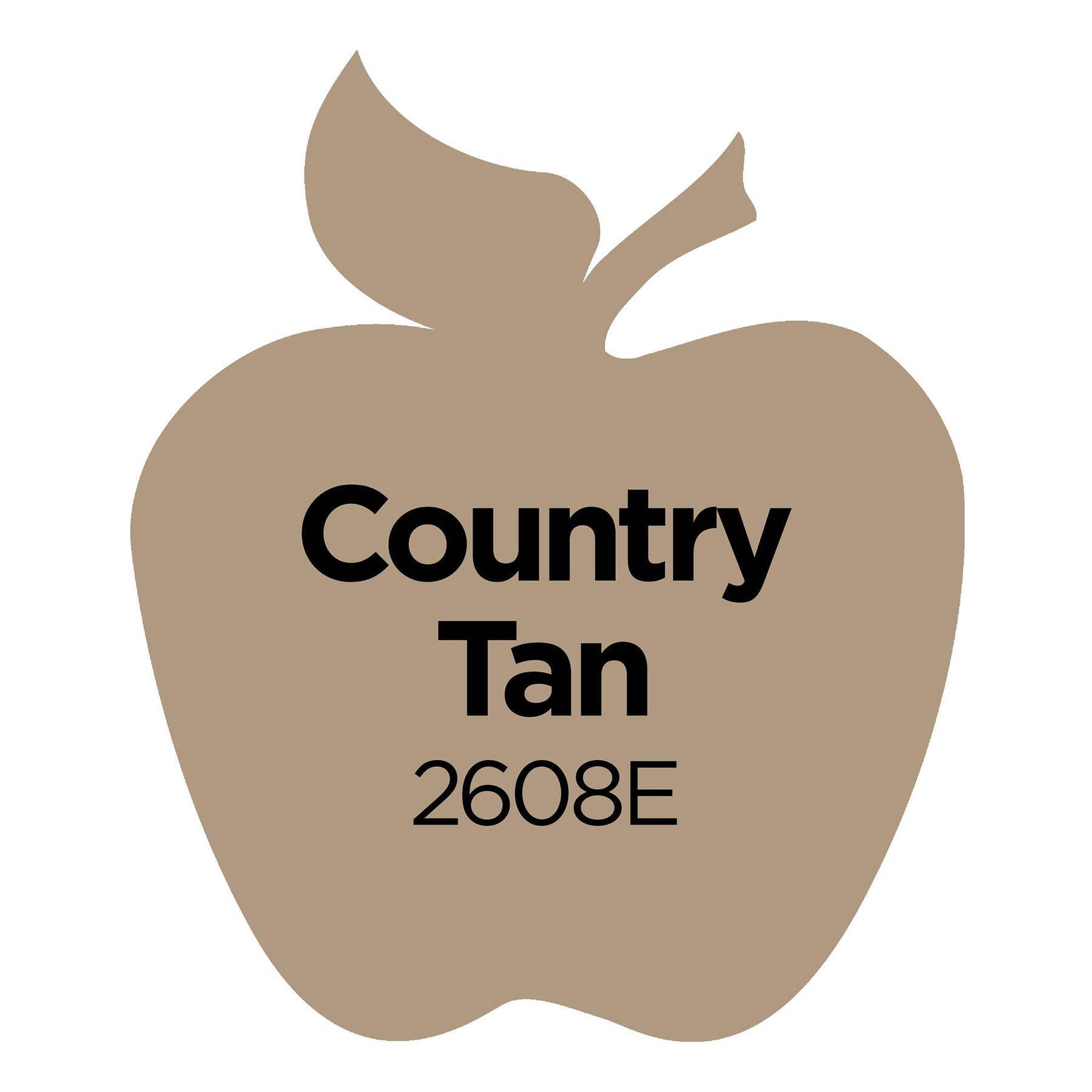 Acrylic Paint Matte, 8oz., Country Tan