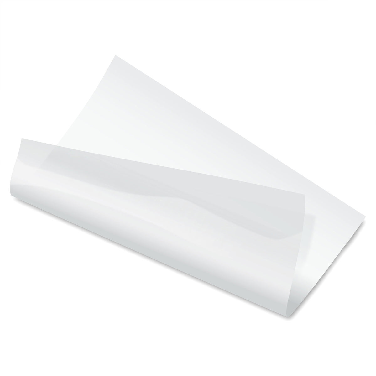PAD 0.005 MATTE DURA-LAR 19X24IN