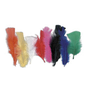 Giant Colourful Feathers - Set of 42