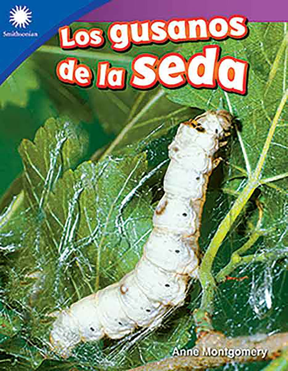 gusanos de la seda