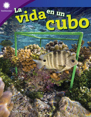 vida en un cubo
