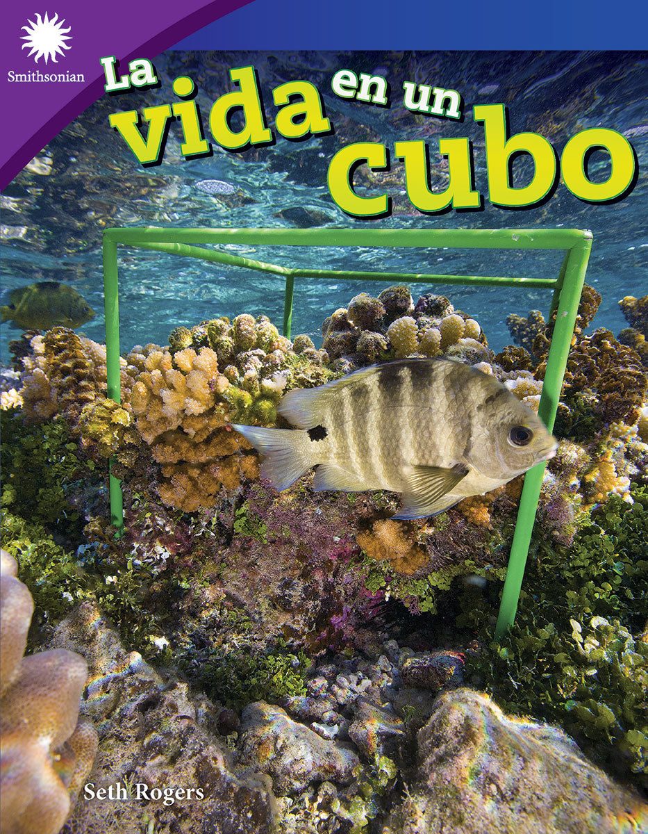 vida en un cubo