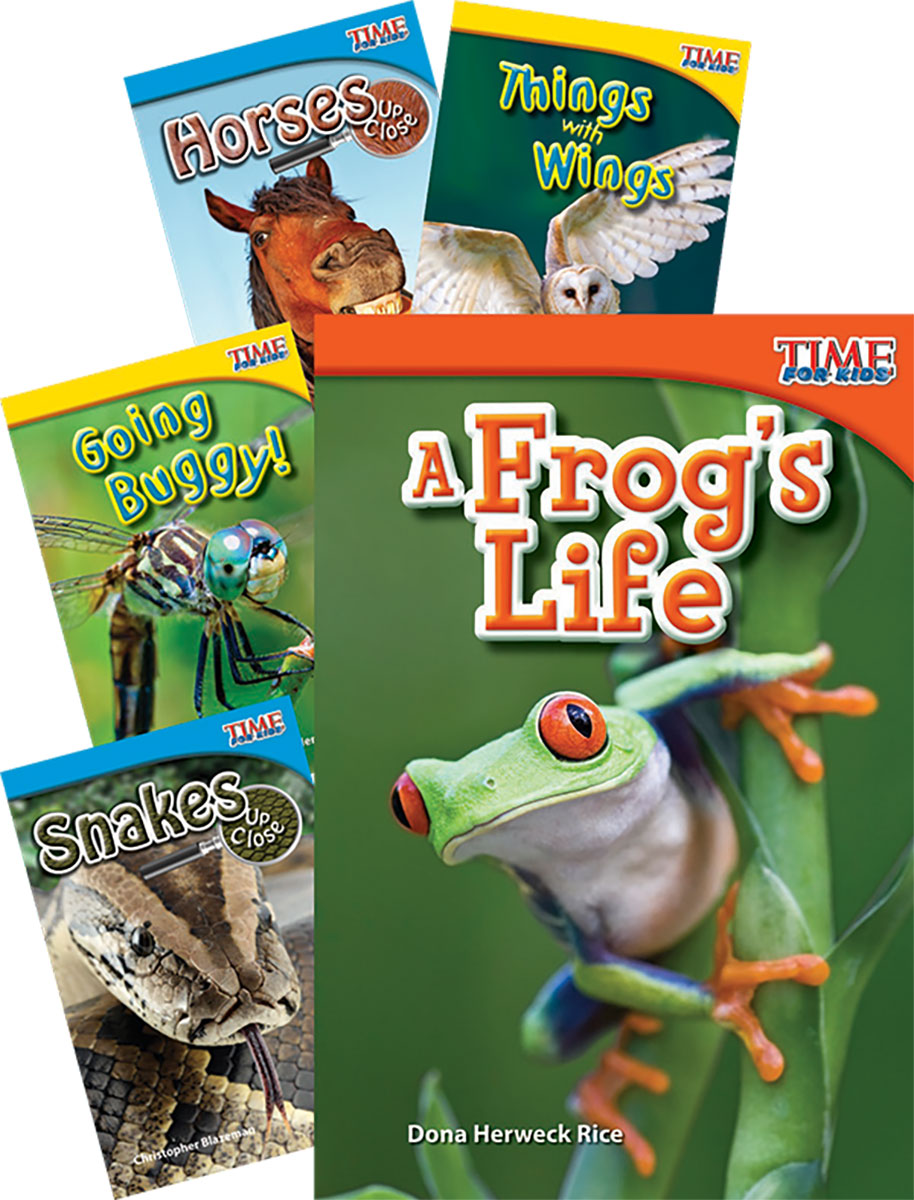 Museum Tour Time for Kids Animals Bundle