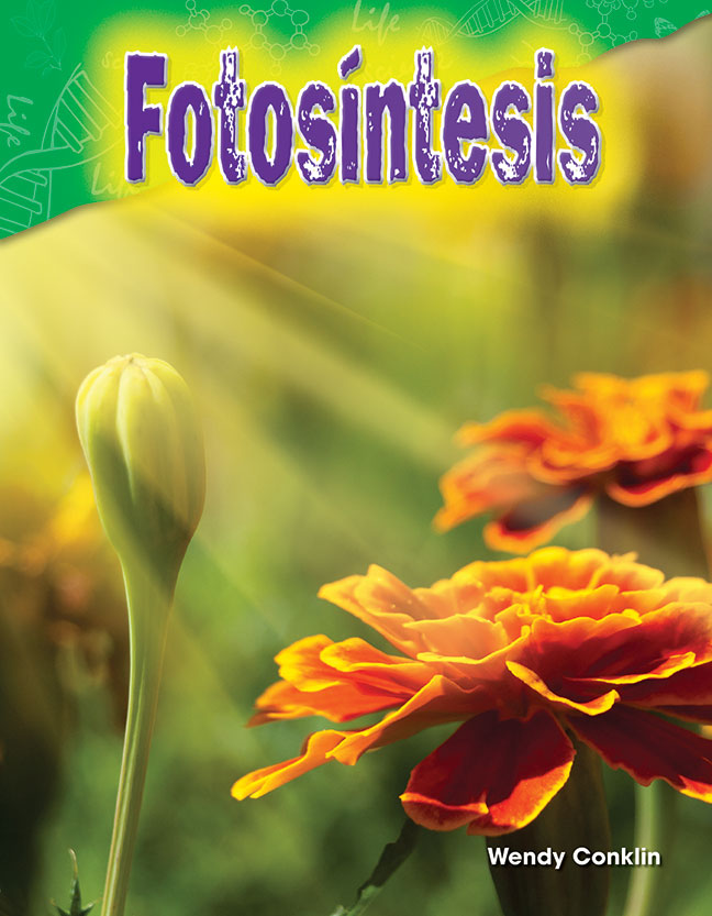 FotosÃ­ntesis
