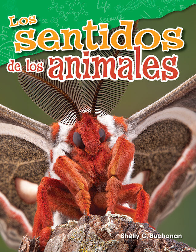 sentidos de los animales