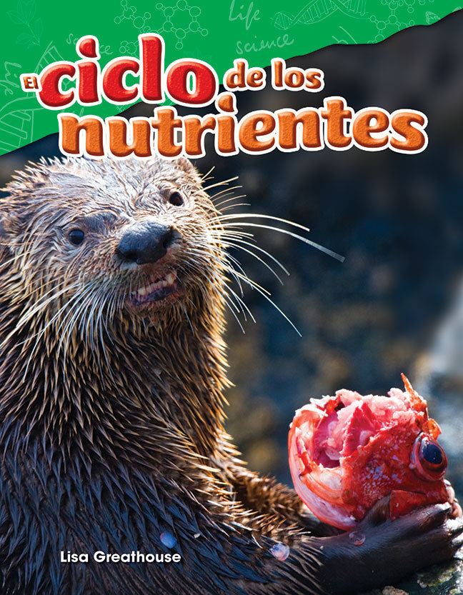 ciclo de los nutrientes