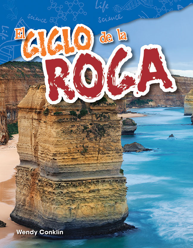 ciclo de la roca