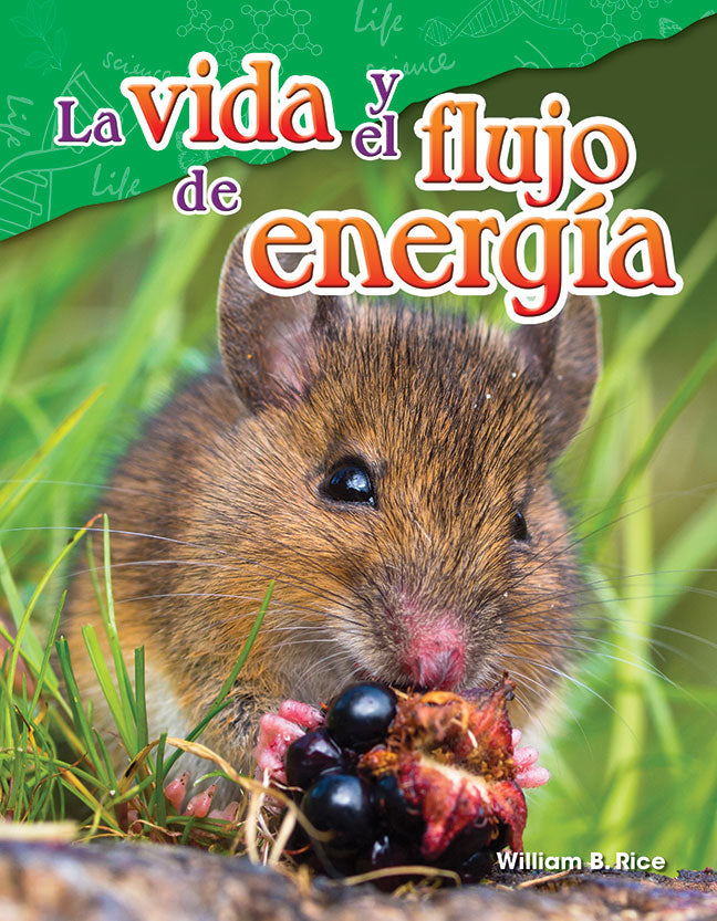 vida y el flujo de energía