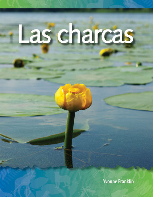 charcas