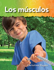 músculos