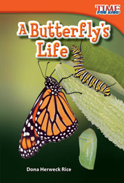 Butterfly's Life