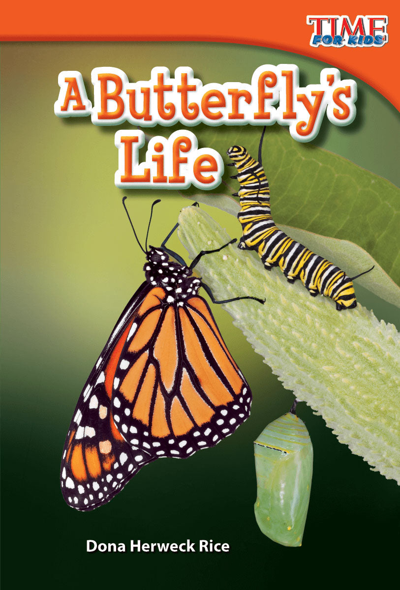 Butterfly's Life