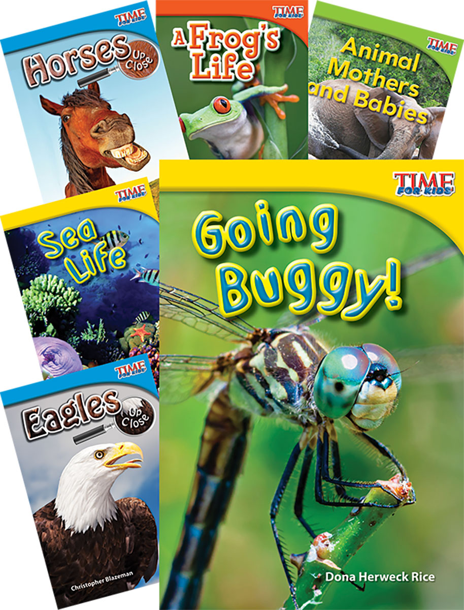 Animals and Insects Set