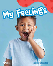 My Feelings, A Wordless Nonfiction Book