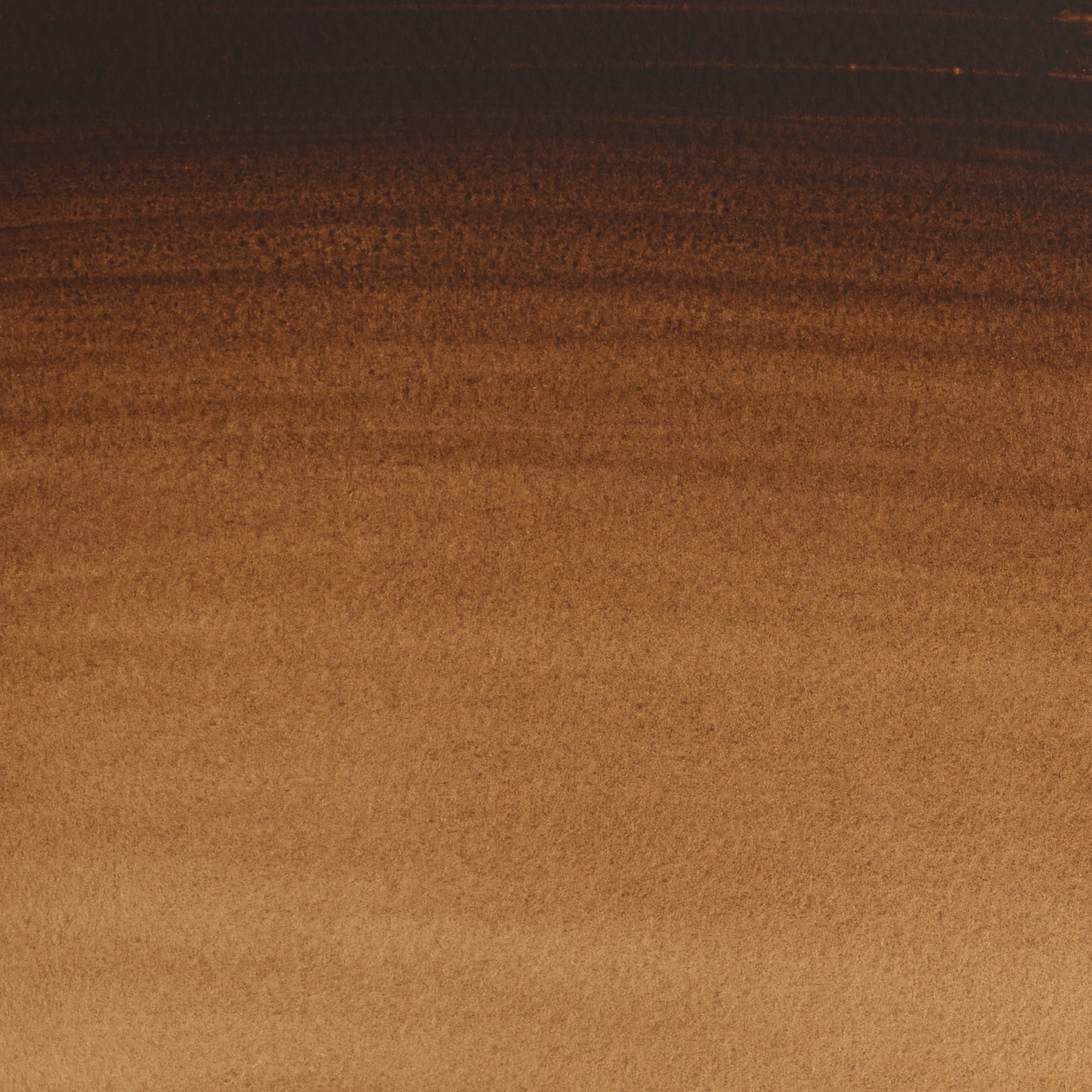 CWC Half Pan - Vandyke Brown