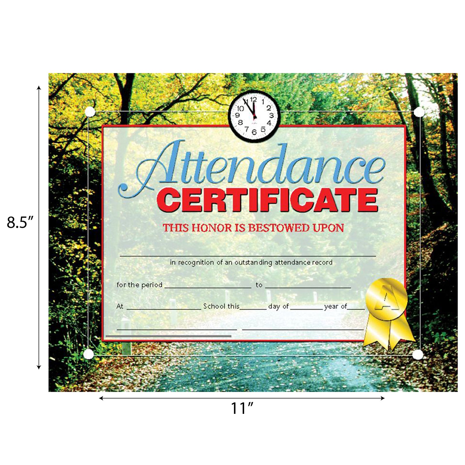 Attendance Certificate, 8.5" x 11", Pack of 30