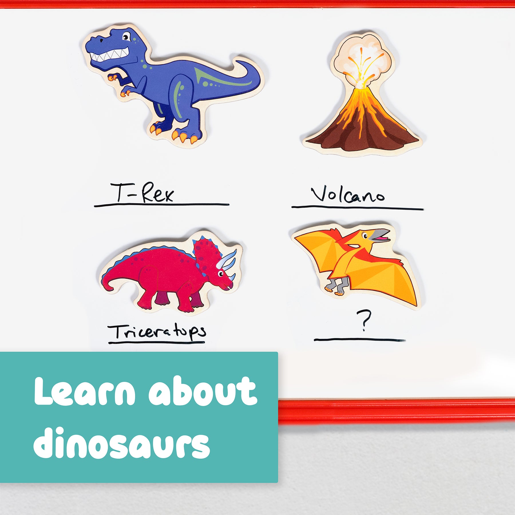 Wooden Magnets - Dinosaurs - Set of 20