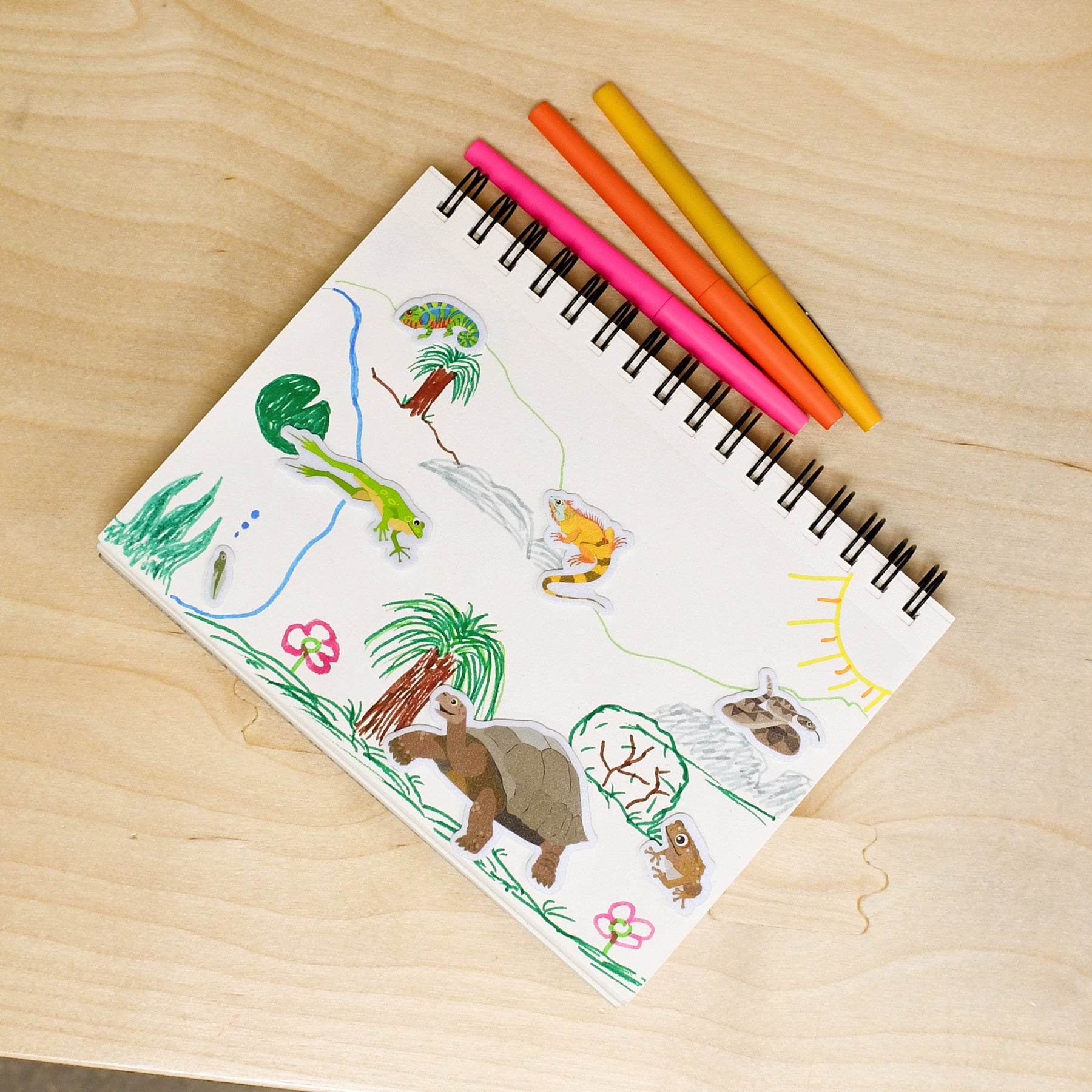 Foam Stickers - Reptiles and Amphibians