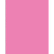 Neon Coated Poster Board, Neon Pink, 22" x 28", 25 Sheets