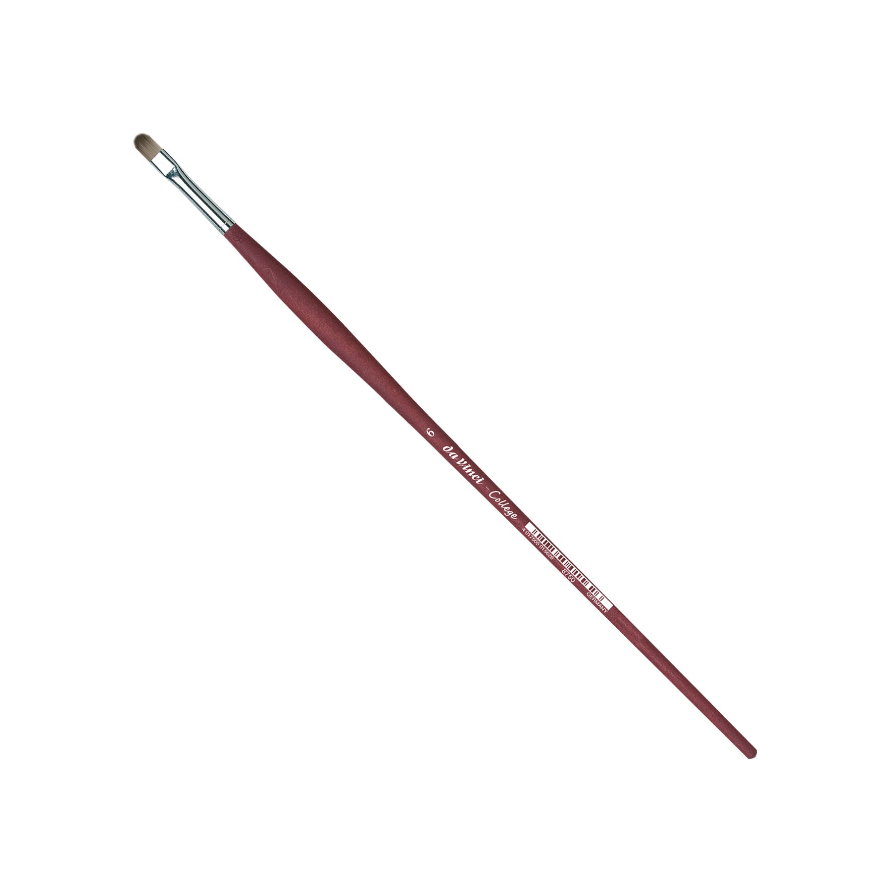 COLLEGE Student Brush, Synthetic, Acrylic & Oil, Filbert, Series 8750, Size 6