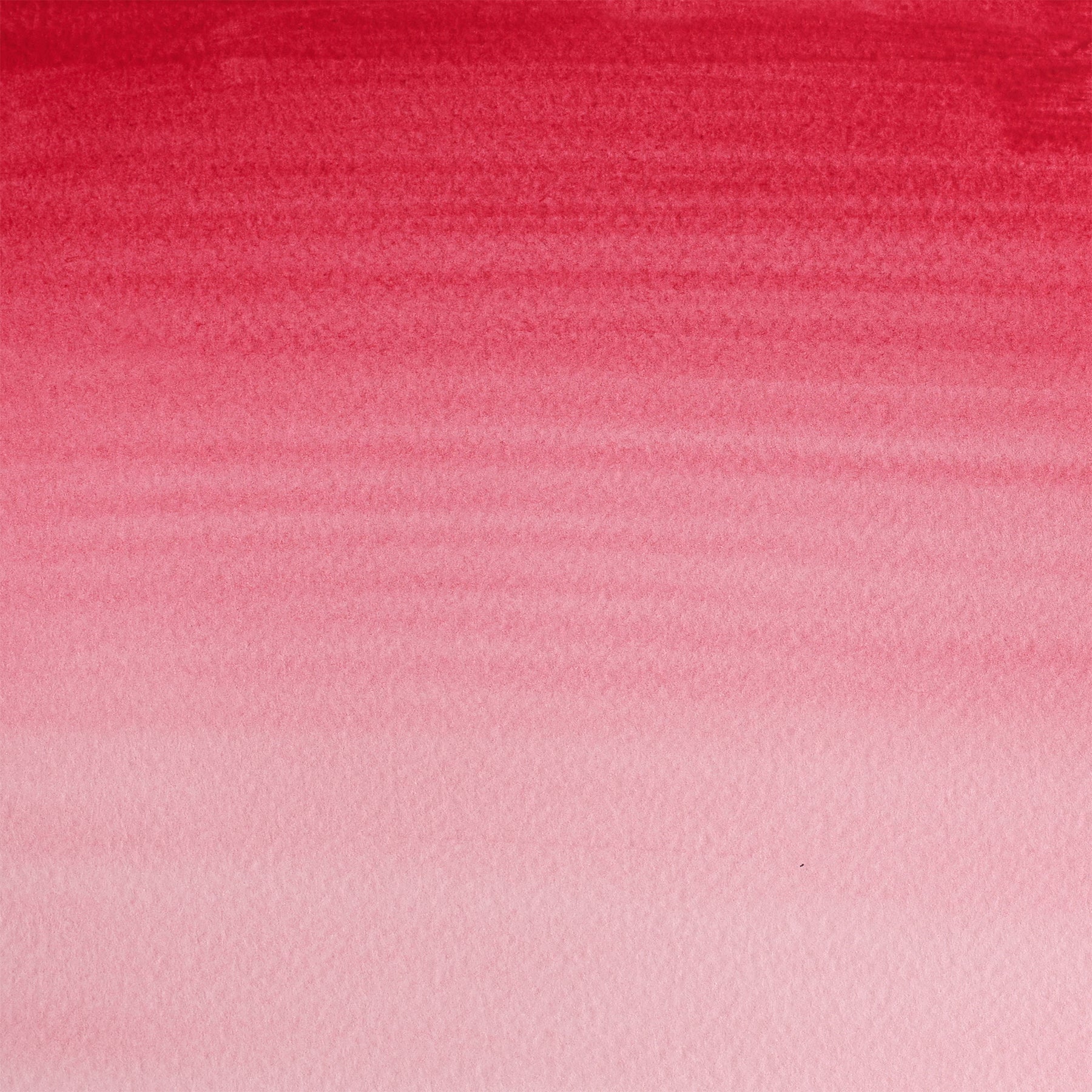 CWC 8ml tube - Rose Madder Alizarin