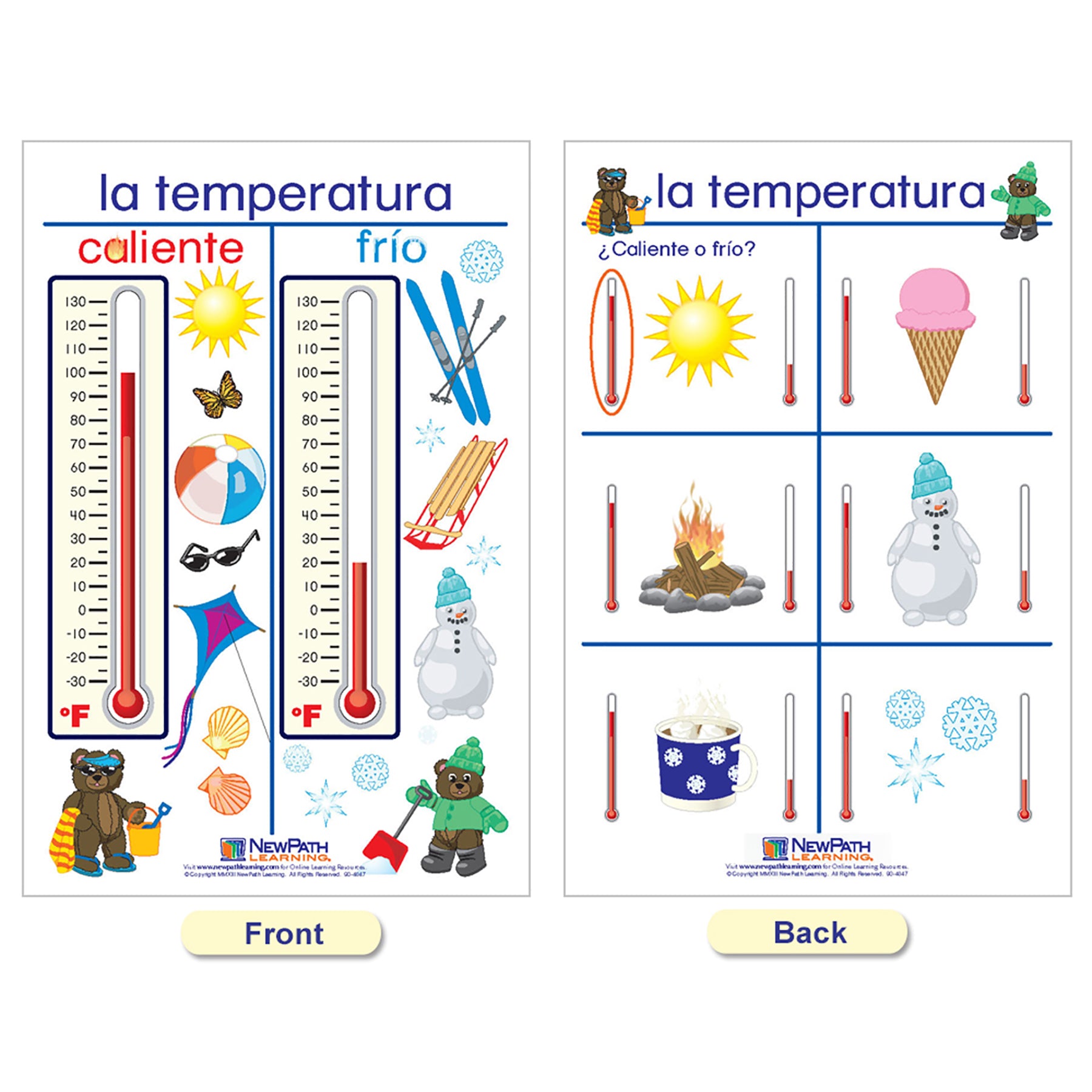 Measurement Bulletin Board Charts, Set of 5, Spanish Edition