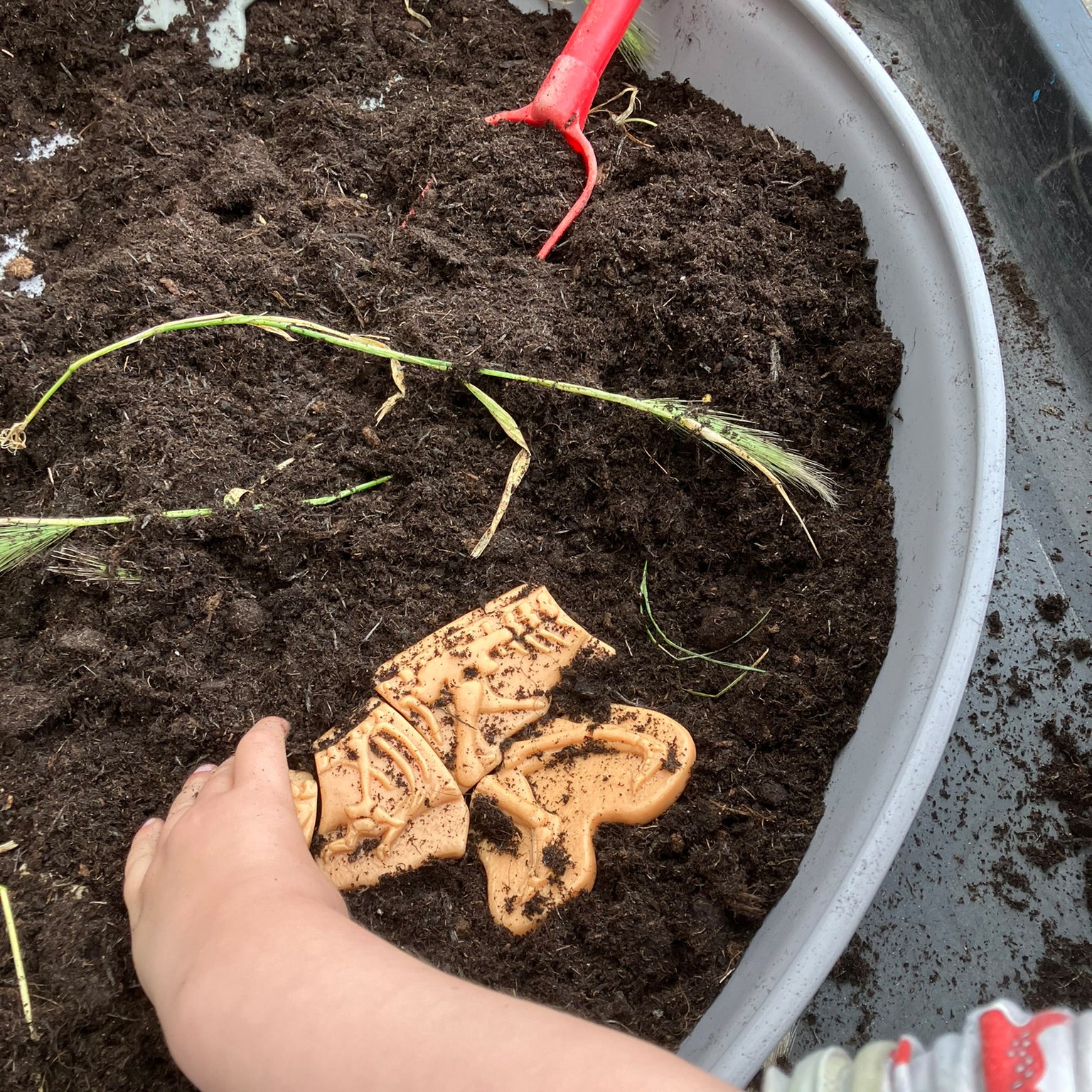 Dig and Discover - Ankylosaurus & Tyrannosaurus Rex