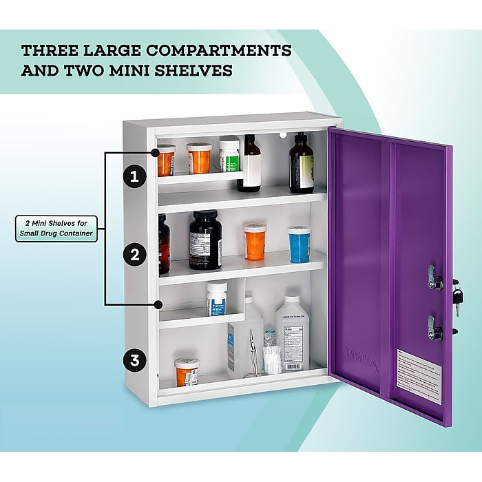 21 in. H x 16 in. W x 6 in. D Large Dual Lock Surface-Mount Medical Security Cabinet in Purple