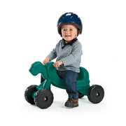 Ride On Tortoise
