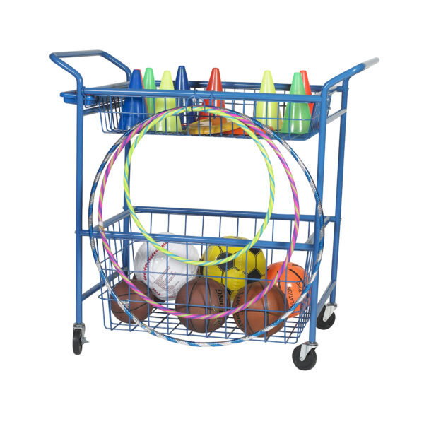 Activity Cart