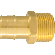 Apollo Retail 1 In. x 1 In. Brass Insert Fitting MIP Adapter Type A