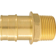 Apollo Retail 1 In. x 3/4 In. Brass Insert Fitting MIP Adapter Type A