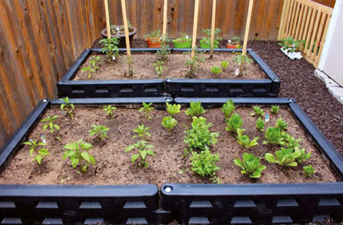 12" Playground Border with Spike