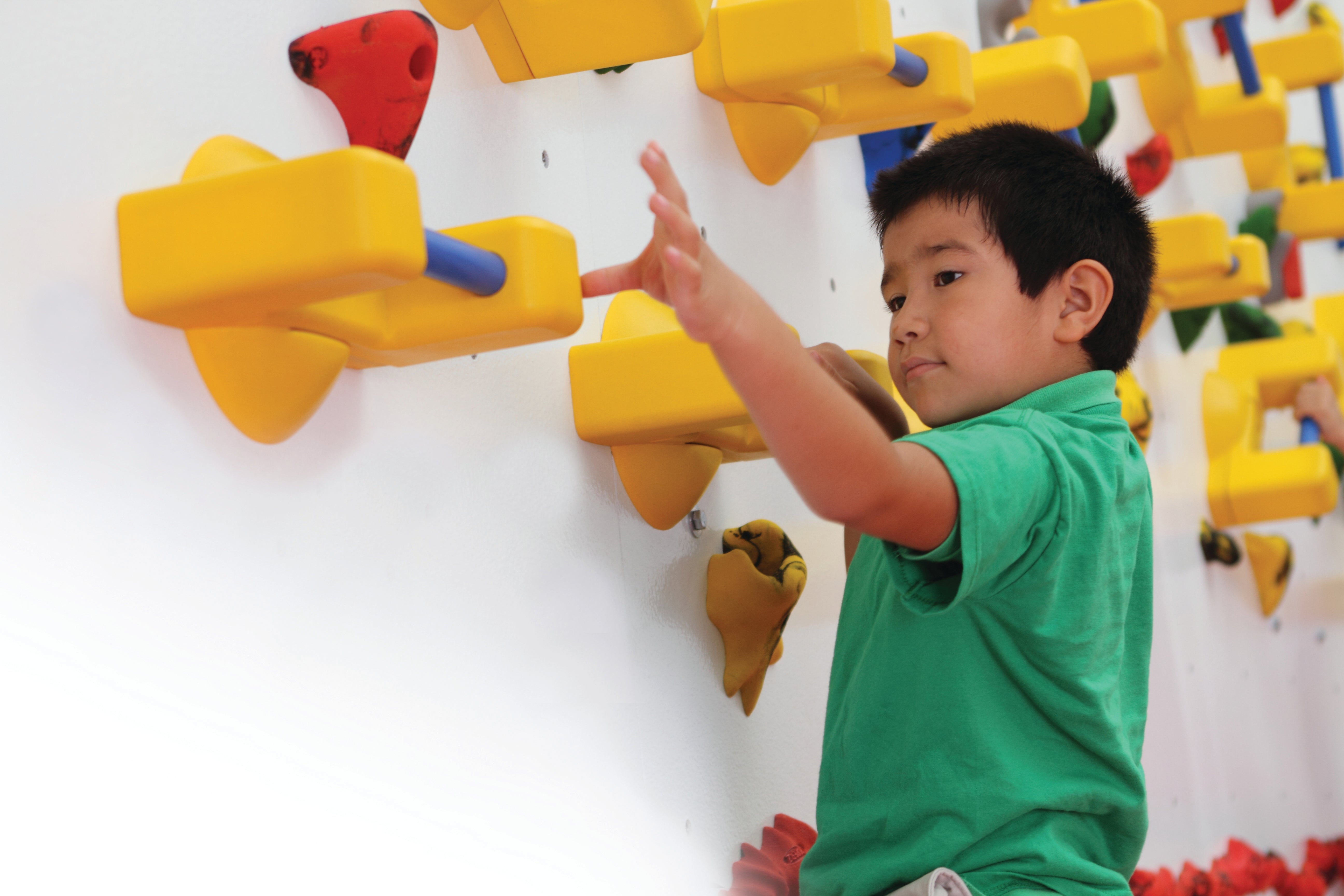 8' HIGH ADAPTIVE TRAVERSE WALLS - 8'H x 4'L - Package with 2"W Mats