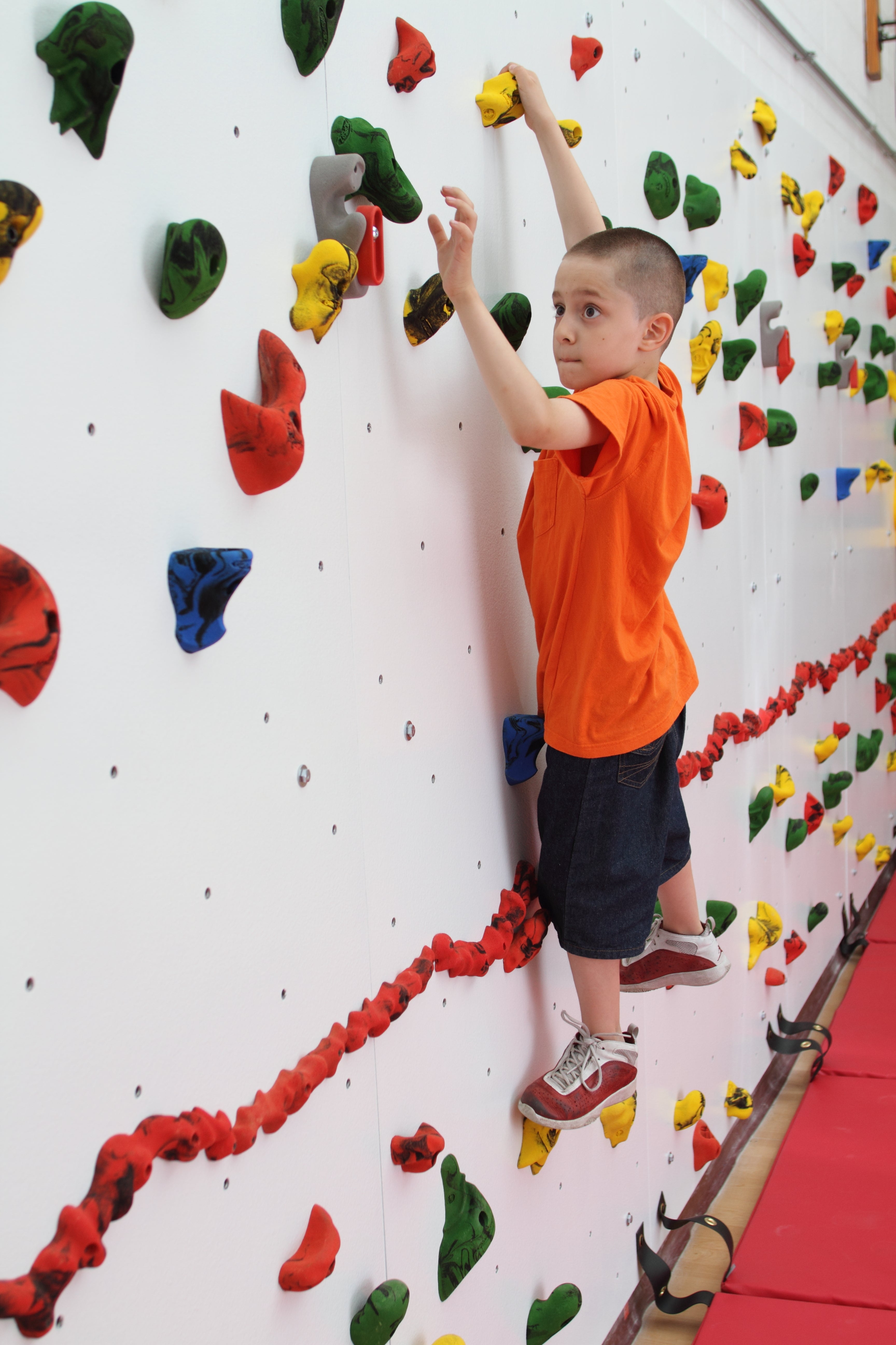 8' HIGH ADAPTIVE TRAVERSE WALLS - 8'H x 12'L - Package with 2"W Mats