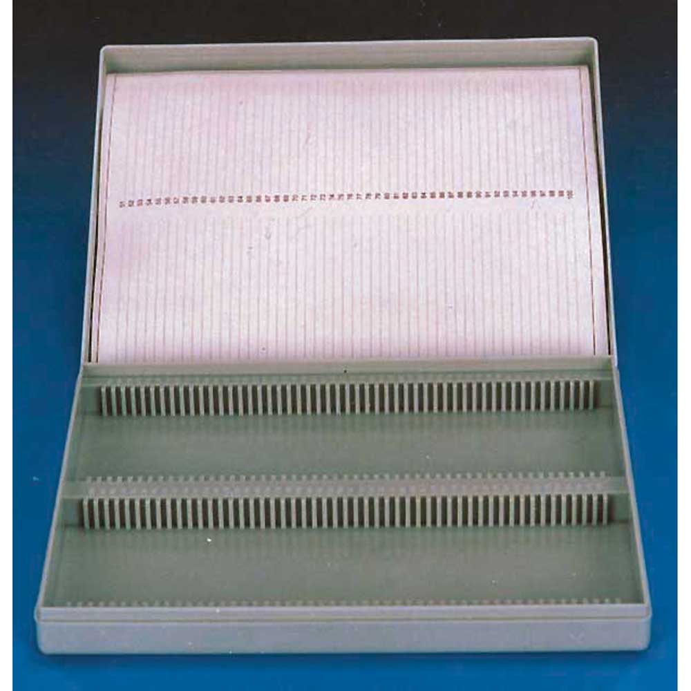 Microscope 100 Slides Plastic Box