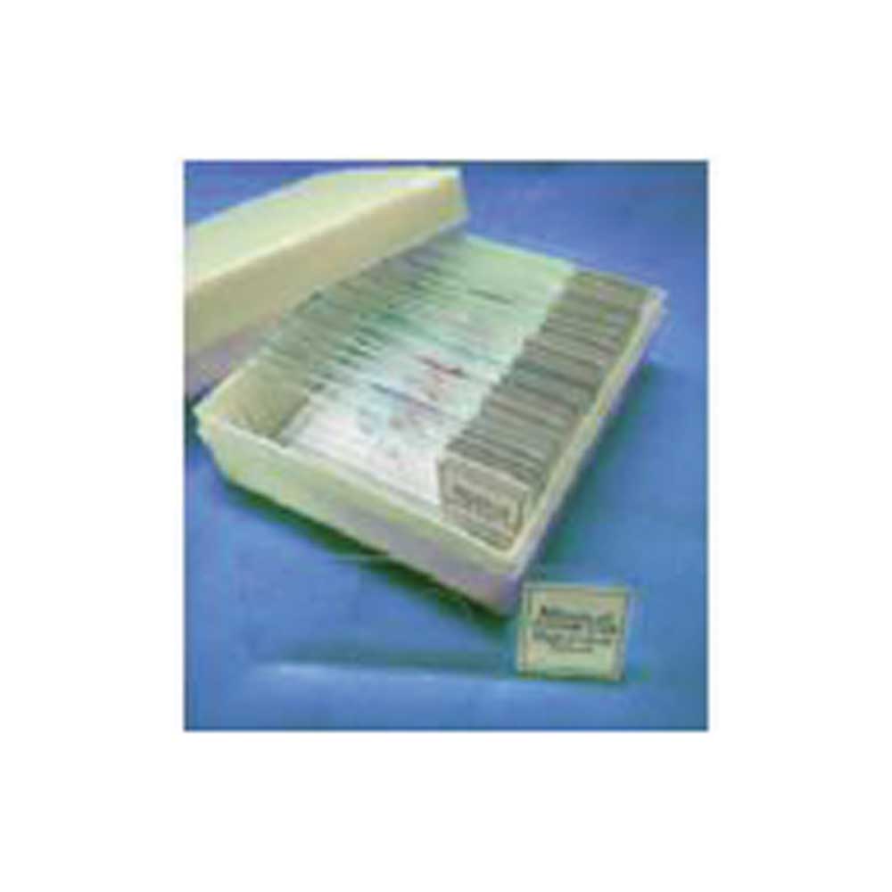 Biology Slide Set - Set Of 23 In Hard Case