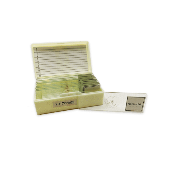 Animal Slide Set