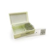 Insect Slide Set