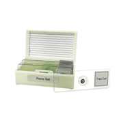 Plants Slide Set
