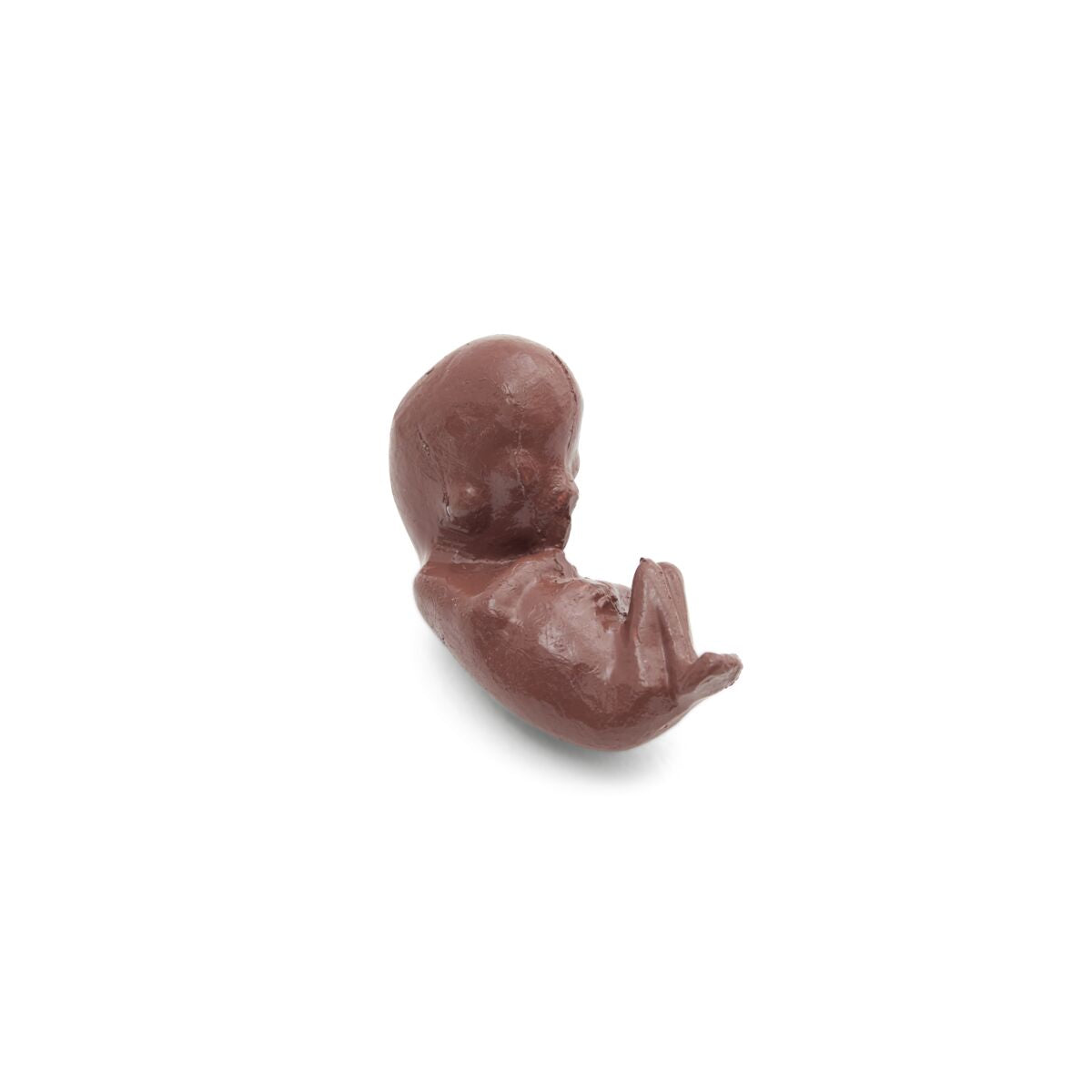 Deluxe Dual Sex Torso Model, 24 part, dark skin