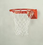Truflex?  Competition Breakaway Basketball Goal
