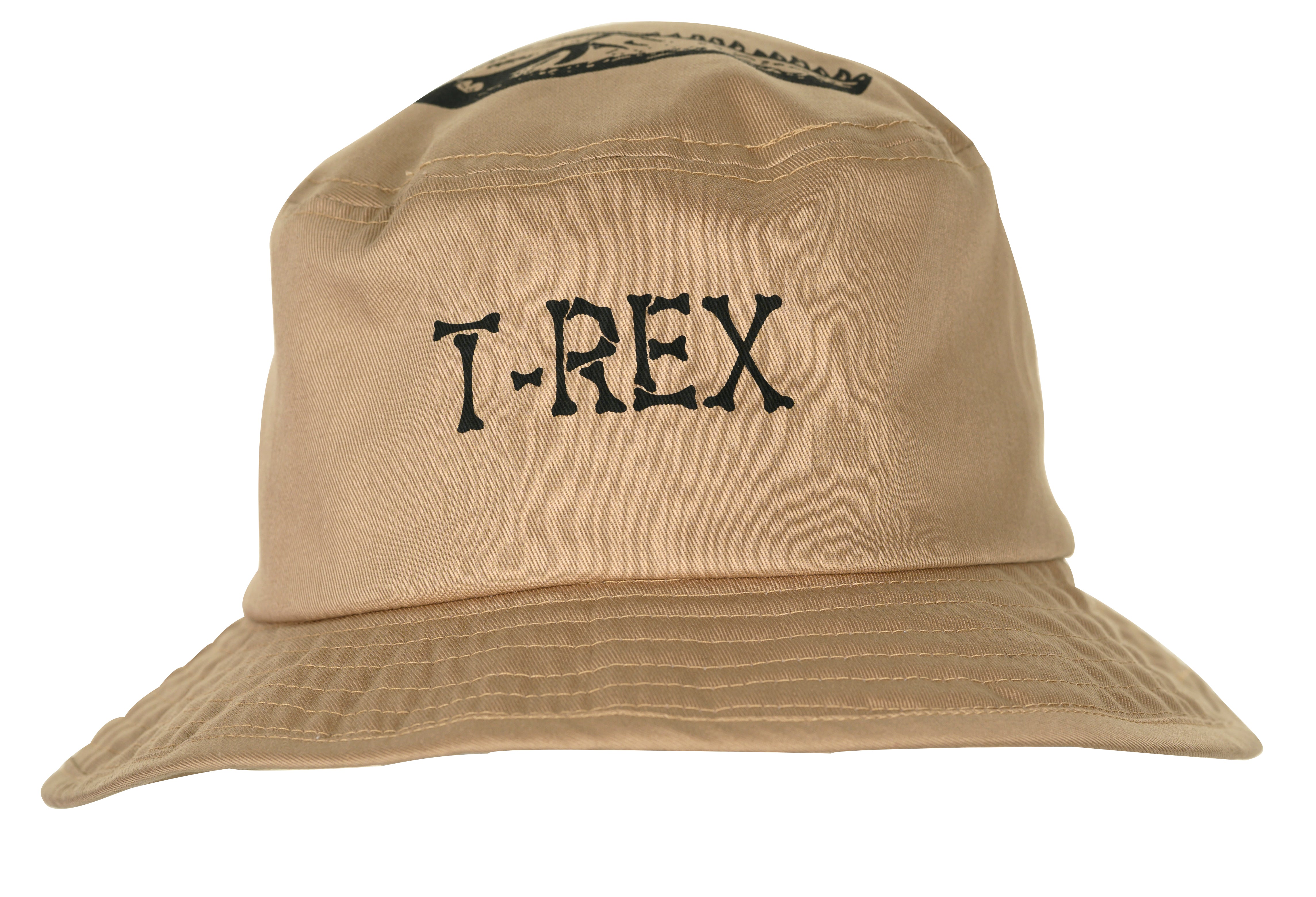 Jr. Dinosaur Bucket Hat, T-Rex, 50 cm