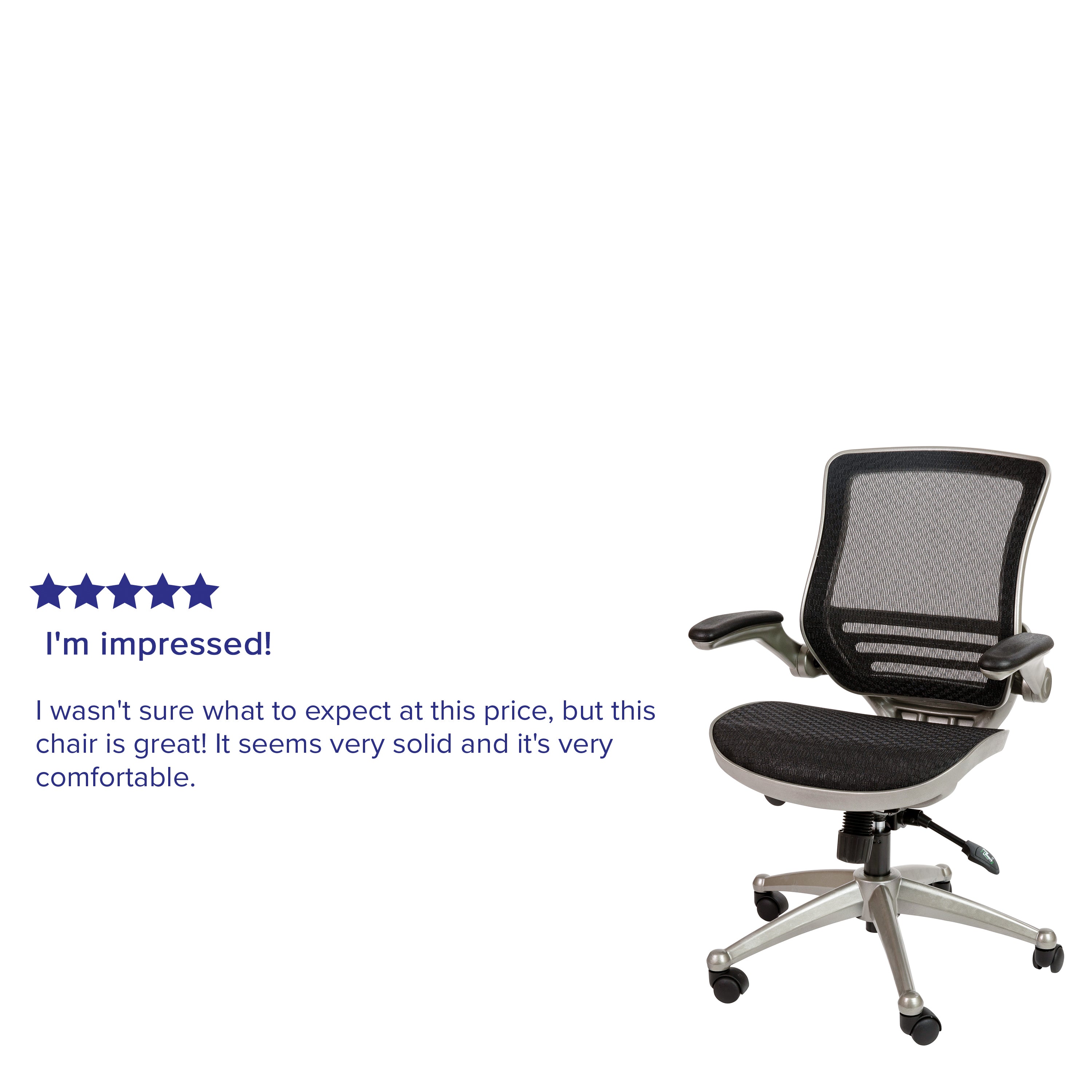 Warfield Mid-Back Transparent Black Mesh Executive Swivel Office Chair with Graphite Silver Frame and Flip-Up Arms