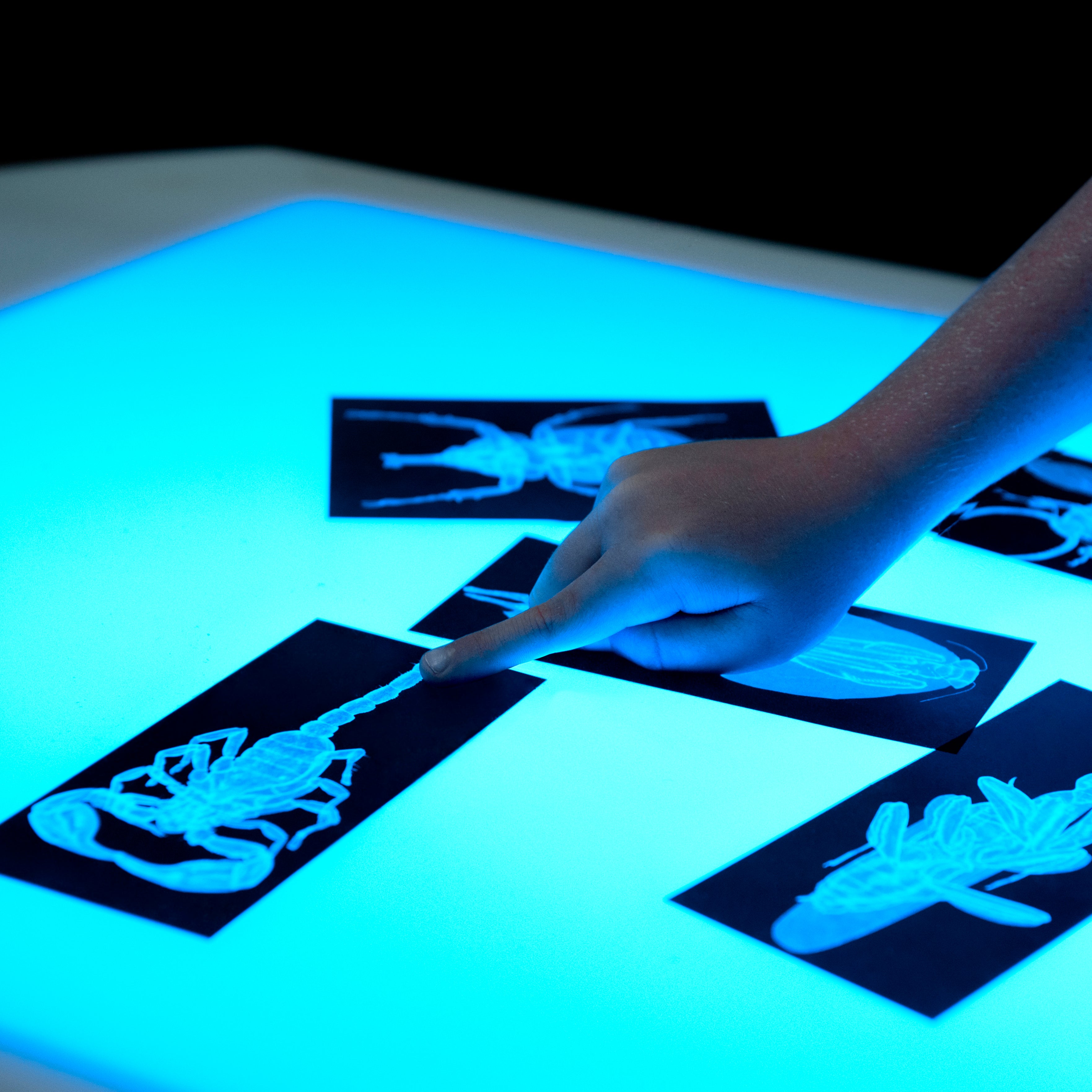 Contender 30" Brilliant Light Table without Storage- Assembled
