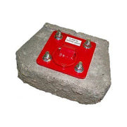 Protecta (Capital Safety) Anchor, concrete, plate, w/D-Ring & bolts