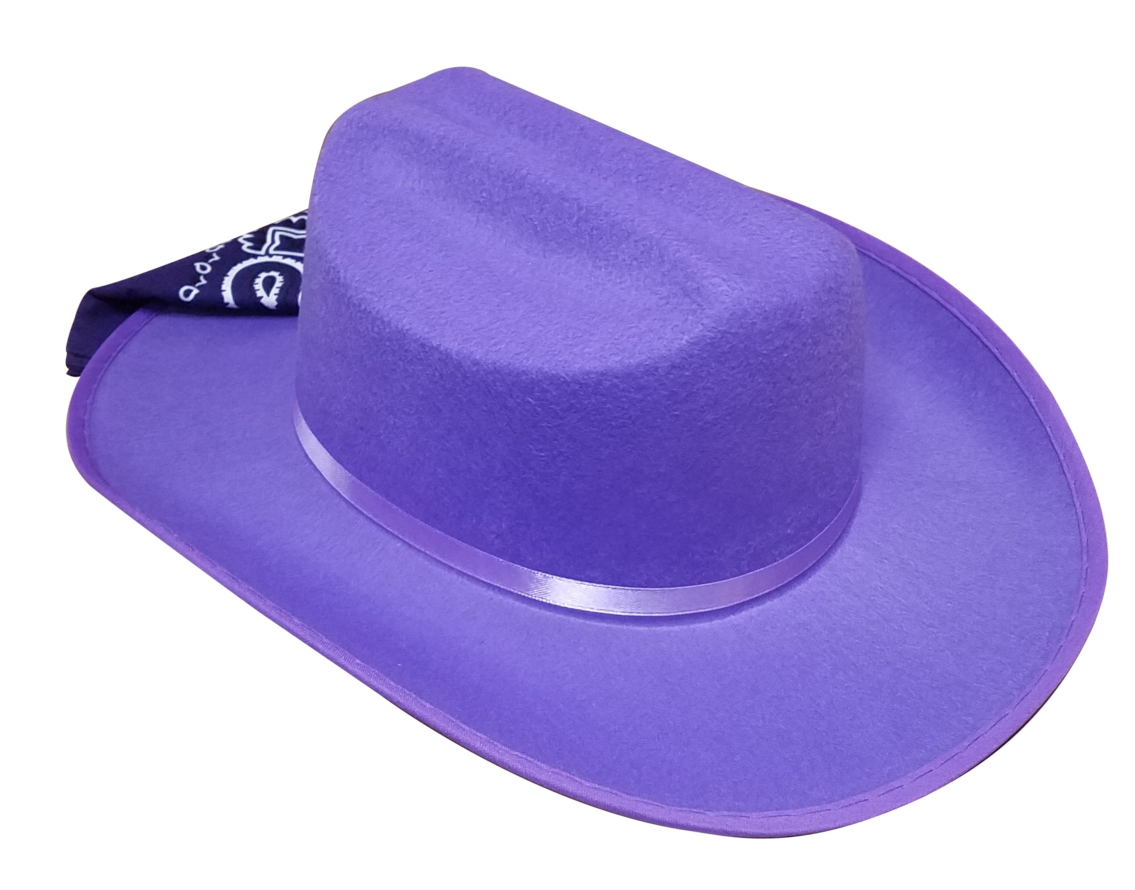 Jr. Cowboy Hat, Purple, With Bandanna.